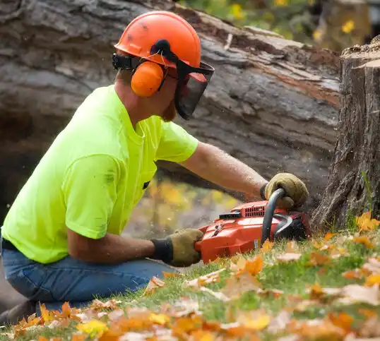 tree services Larimore